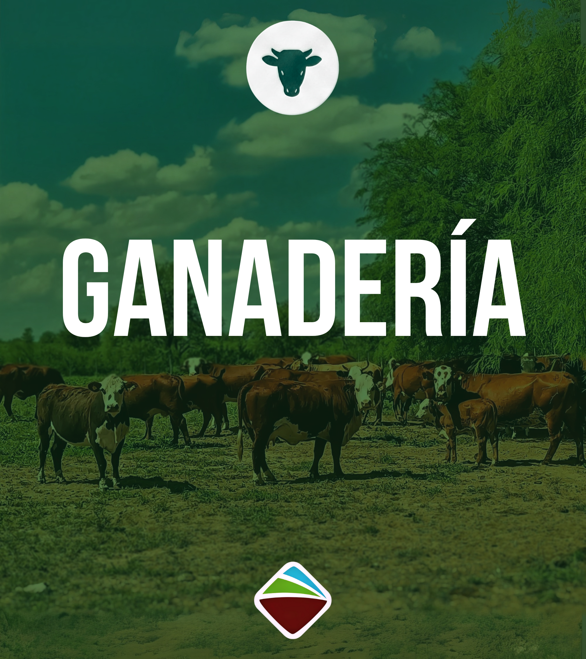 GANADERÍA